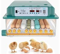 MQDLJSE Nacedora Digital Totalmente automática, incubadora de Huevos, Pantalla LED Que Muestra la Temperatura, rotación automática Que simula el Modo de eclosión Original, Capacidad para 4