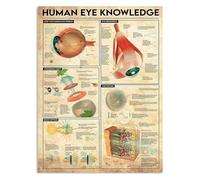 MQXFCZUX Human Eye Anatomy Metal Sign Vintage Retro Rustic Tin Poster Wall Decor for Optometry Office 8 X 12 in