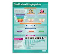 MQXFCZUX Tree of Life Biology Poster, Classification of Living Organisms Wall Chart, Large Format Science Decor for Classroom or Lab Unframed,16x24inch(40x60cm)