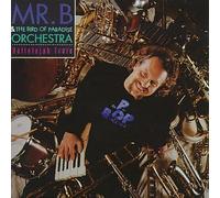 Mr B & Bird of Paradise Orchestra - Hallelujah Train
