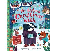 Mr Badger's Christmas Wish (Amazing True Animal Stories)