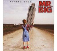 Mr. Big - Actual Size (US Import)