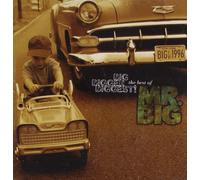 Mr. Big - Best Of Mr. Big