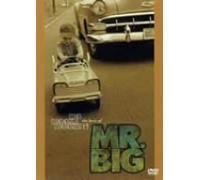 Mr.Big - Big Bigger Biggest! the Best [Alemania] [DVD]