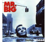 Mr. Big - Bump Ahead [Import]