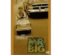 Mr.Big - Greatest Video Hits [Linear PC [Alemania] [DVD]