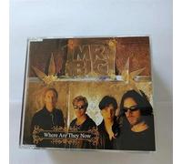 Mr Big - I'll Leave It Up to You