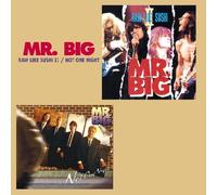 Mr. Big - Raw Like Sushi 2/Live..