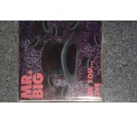 Mr. Big - See you.. (live, 1991)