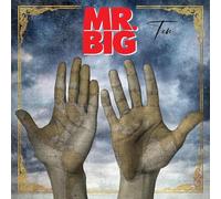 Mr Big - Ten [Vinilo]