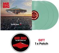 Mr. Big - The Big Finish Live