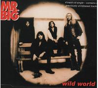 Mr Big (US) - Wild World