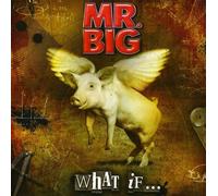 Mr.Big - What If