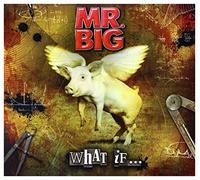 Mr. Big - What If + DVD