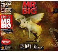 Mr. Big - What If [Import] [Import]