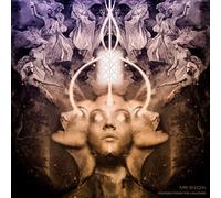Echoes From The Universe [Vinilo]