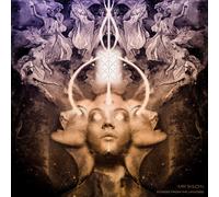 Echoes From The Universe [Vinilo]