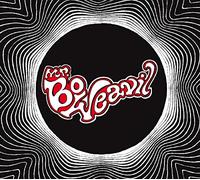 Mr.Bo Weavil - As a Striving Lonesome Bull