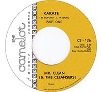Mr Clean & the Cleansers - Karate [Vinilo]