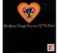 Mr Electric Triangle - Kosmosis of the Heart