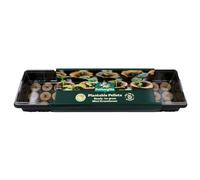 Mr Fothergills Kit de Invernadero, 36 pellets plantables, Grande