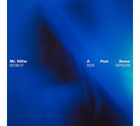 Mr. Käfer - A Past Sense [VINYL] [Vinilo]