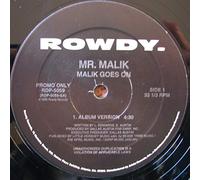 Mr Malik - Malik Goes on [Vinilo]