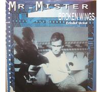 MR.MISTER 12" Single - Broken Wings,3 Tracks,EX