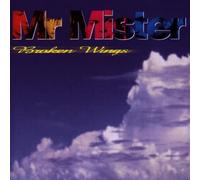 Mr Mister - Broken Wings