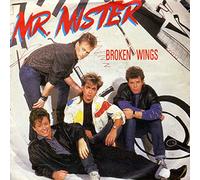 Mr. Mister - Broken Wings [VINYL] (UK Import) [Vinyl Single]