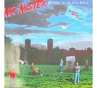 Mr Mister - Mr Mister Welcome To The Real World LP RCA PL89647 EX/EX 1985 [Vinilo]