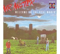 Mr. Mister WELCOME TO THE REAL WORLD (CD) (Importación USA)