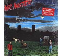 Mr. Mister - Welcome To The Real World - RCA Victor - AFL 1-7180