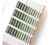 Mr. Pen- Biblia pestaas 75 pestaas Sage Green Lamined Lamined Bible For Women and Men Pestaas Bblicas para el estudio Tabas Bblicas Pestaas Bb