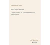 Mr. Rabbit at Home: A Sequel to Little Mr. Thimblefinger and His Queer Country