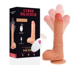Mr Rick - CyberSilicock