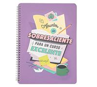Mr. Wonderful Libreta - Apuntes de sobresaliente para un curso excelente, Multicolor