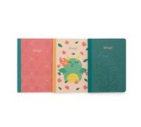 Mr. Wonderful - Set de 3 libretas A6 - Dragón, rosa y princesa