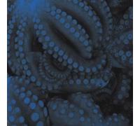 Mrs Jynx - Shark Carousel