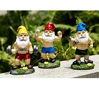 Mrsivrop Funny Workout Garden Gnomes Statues 3pcs 6.2 Inches Outdoor Funny The Muscular, Barbell and Dumbbell Gnomes Decorations Set for Yard, Lawn, Patio, Indoor GNOME Figurine for Home Tabletop