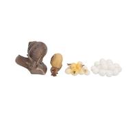 MRSTORY Ciclo de Crecimiento de Caracol Modelo Ciclo de Vida Realista de Juguetes Educativos Niños Aprendiendo Naturaleza Ciencia Material Plástico Tal como Muestran Las Imágenes