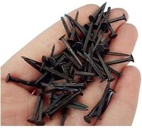 MRVAKDYDI Clavos Redondos de Acero Inoxidable, Clavos de alfileres de Panel de Hierro Negro for Sujetar reparación de Zapatos Colgantes 13-25mm 100 Gramos(22mm)