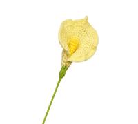 MRVAKDYDI Crochet Flower Bouquet,Flores de Punto, Artificial Calla Lily Knitted Crochet Flower Multicolor 37x9 cm(C)