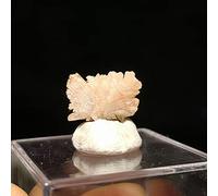 MRXFN Piedra de Cristal Natural Espécimen de Cristal Mineral de cerusita de Piedra Natural en Bruto de Cristal Natural de la Provincia de Guangxi, China A1-3 Decoración del hogar (Color : F)