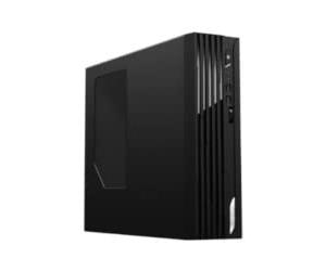 MSI - DESKTOP BTOB Pro DP130 11-205XEU- Pent G6405 256GB 8GB NOOD Noos