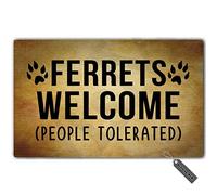 MsMr - Felpudo de entrada con diseño de hurones con texto en inglés "Welcome People"