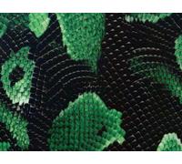 MST-Design e.K. PB-MMLG-I33S - Juego de impresión por Transferencia de Agua (tamaño pequeño, 4 x 50 cm, Serpiente, CD-90-1), Multicolor