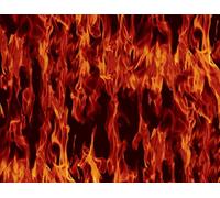 MST-DESIGN e.K. T9-ONDZ-A1AF CD-560-MS - Juego de iniciación de impresión por Transferencia de Agua (4 x 100 cm), diseño de Llamas, Multicolor