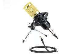 Msuiiixcccc BM 800 Condenser Microphone Mixer Kit Microphone Sound Card Audio Interface Microphone Suitable for Computer Phones