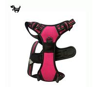 Msuiiixcccc Dog Chest Strap is Comfortable and Reflective Fits Snugly. The Handle is and Sprint-Proof with D-Ring C L (C Small)